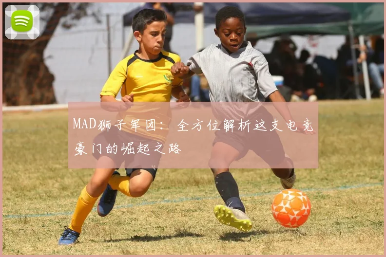 MAD狮子军团:全方位解析这支电竞豪门的崛起之路